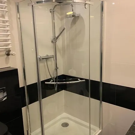 Deluxe Apartment *